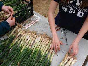 photo_2016-04-03_15-30-18